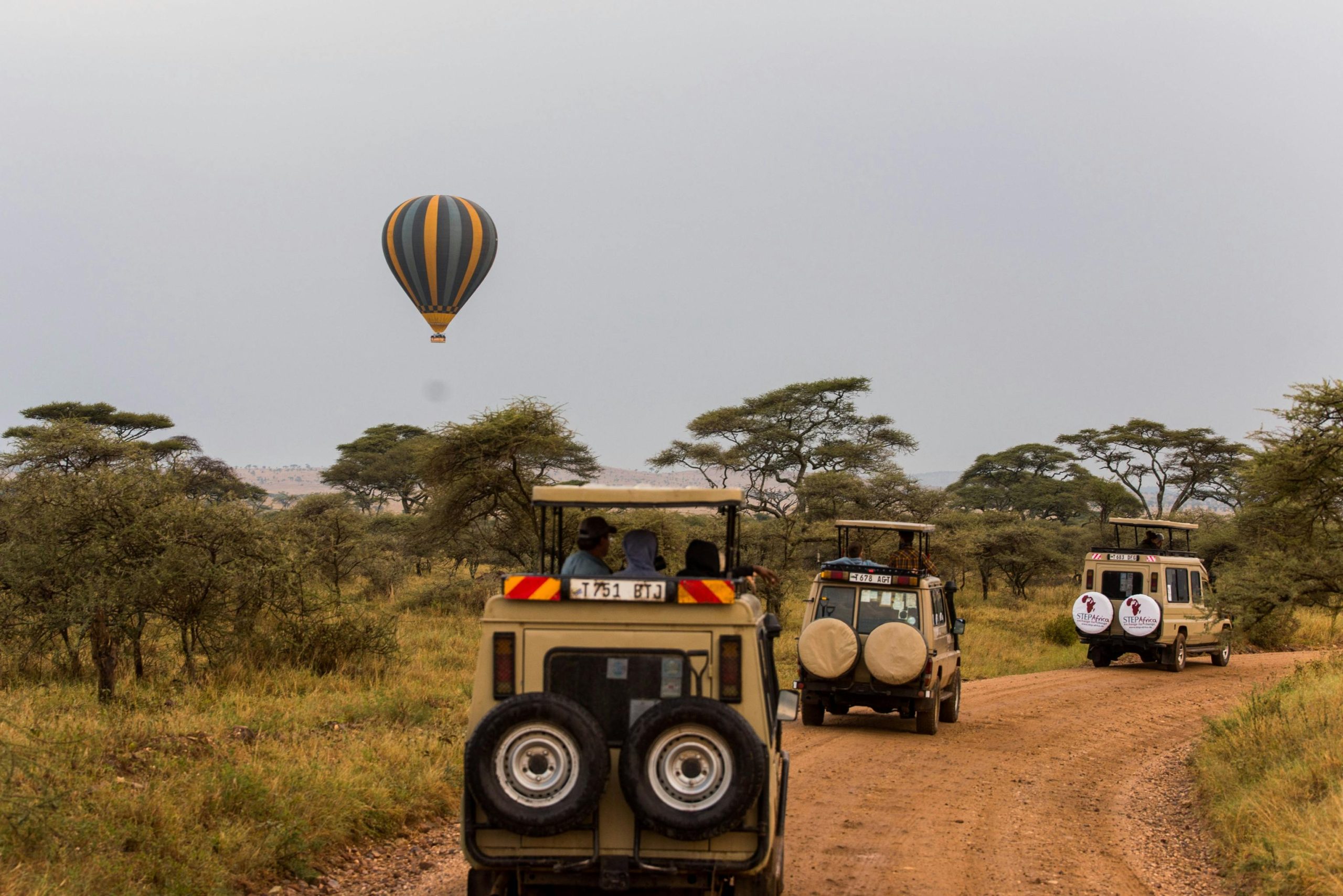 pexels-tanzania-wild-sky-986912744-20179685